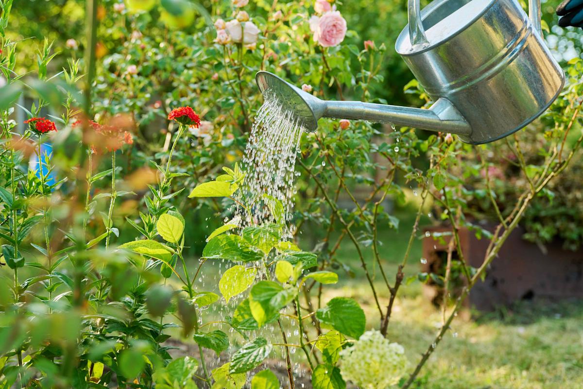 Gardening services