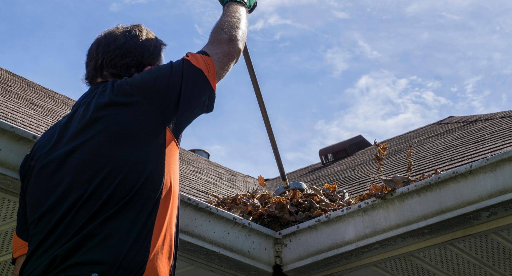 Gutter cleaning