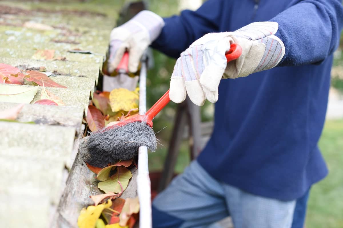 Professional gutter cleaning service
