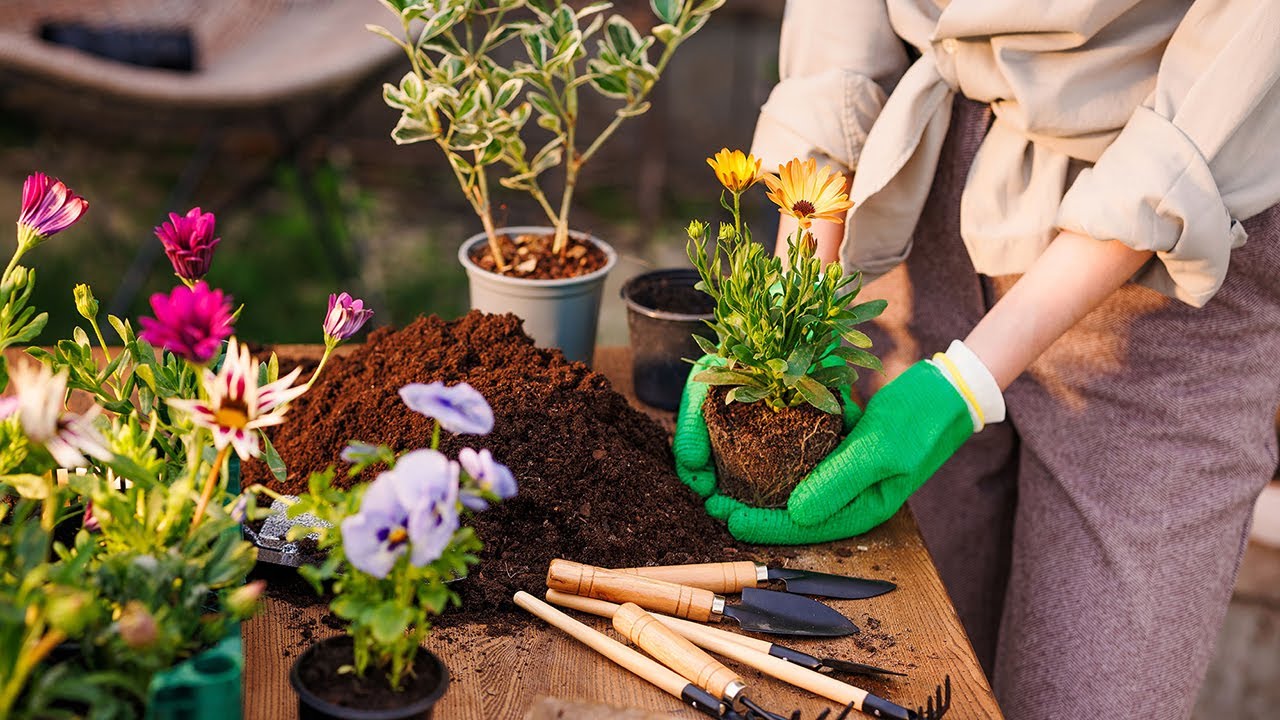 Professional gardening and landscaping service